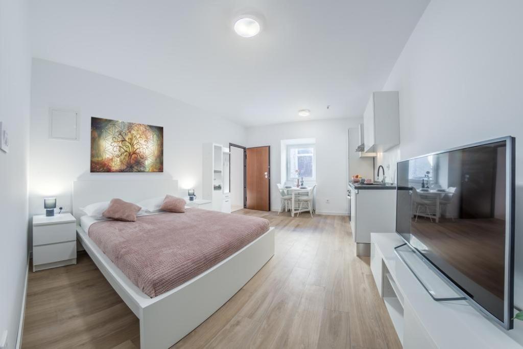 Apartment Klara FREE parking, center Pula Dış mekan fotoğraf